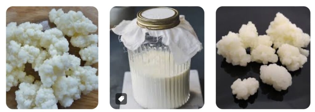 Melkkefir