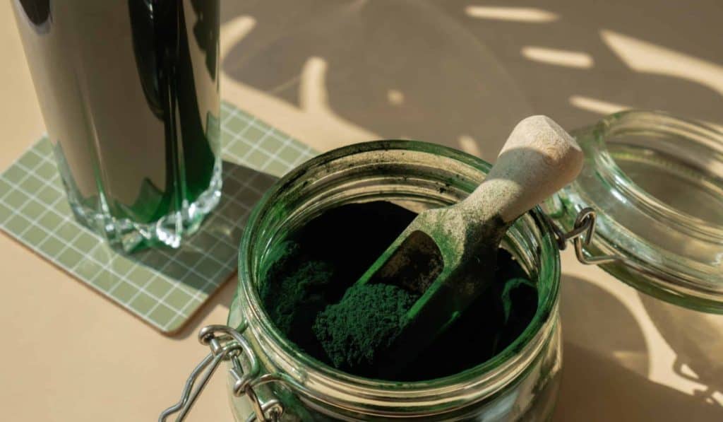 Spirulina ervaringen