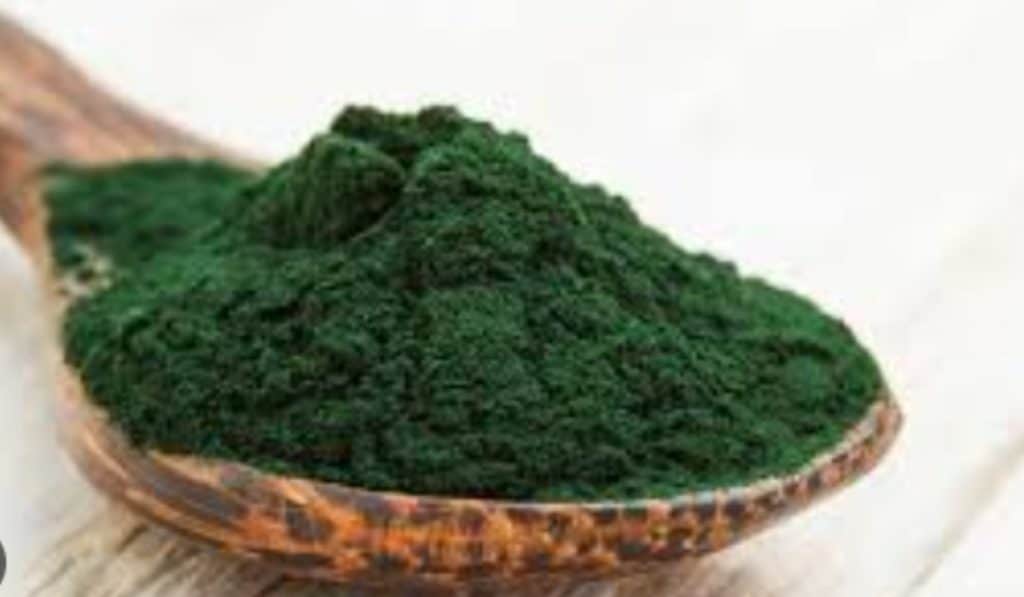 Spirulina
