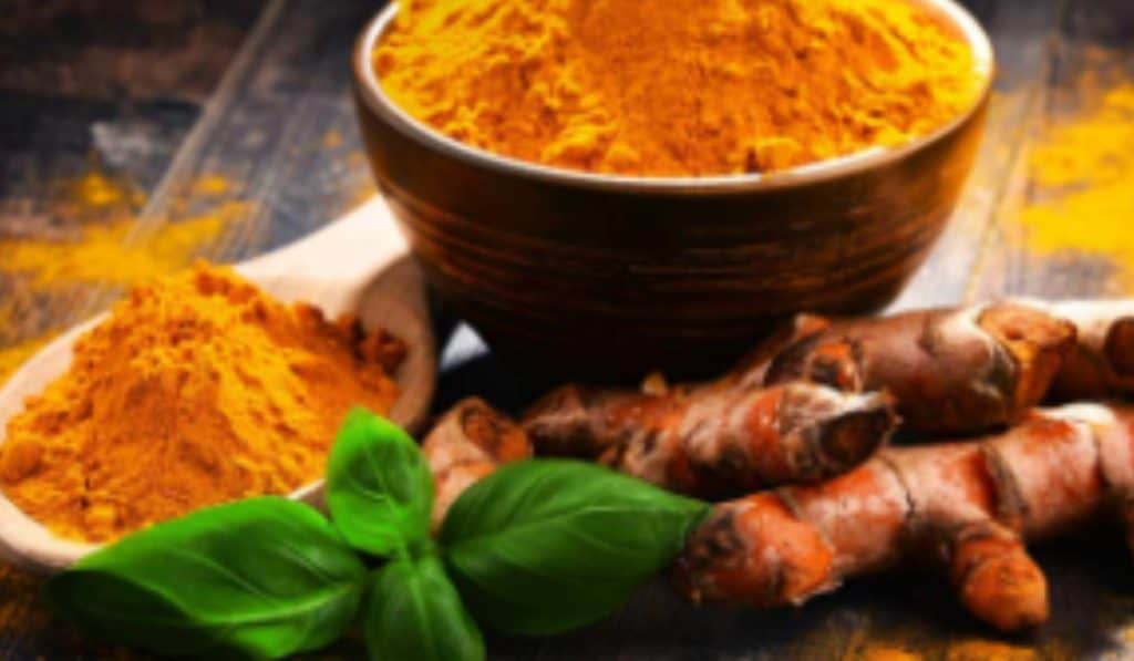 Curcuma en Kurkuma – Ontstekingsremmend en Plant Verzorging