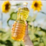 Geraffineerde Zonnebloemolie: Alles Wat Je Moet Weten
