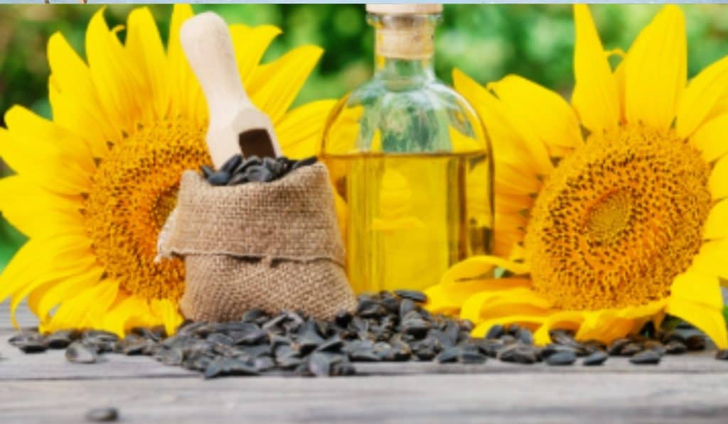 Zonnebloemolie