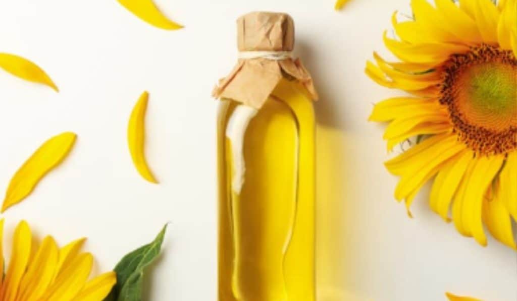 Alles over Zonnebloemolie: Smaken, Aroma, Gezondheid & Frituren