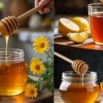 Honing gezondheid gids bekijk alle feiten over de voordelen en de misverstanden nu