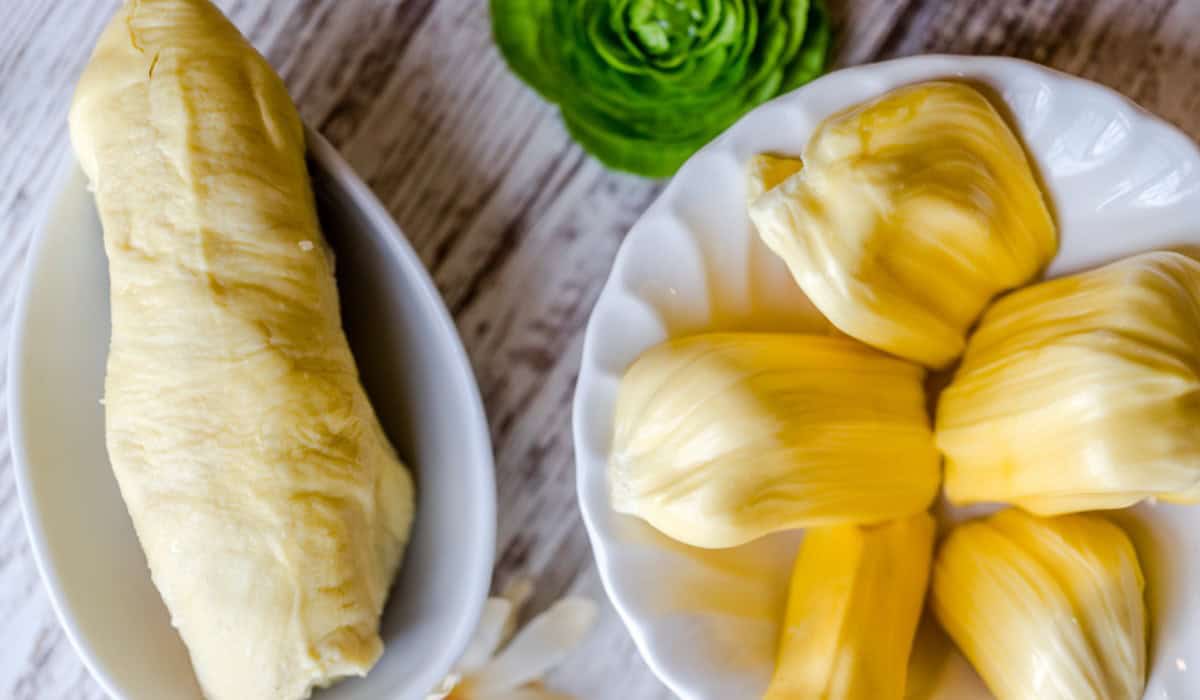 Jackfruit: De Ultieme Gids over Vleesvervanger, Zaden, Boom, Prijs, Vezels en Proteïne