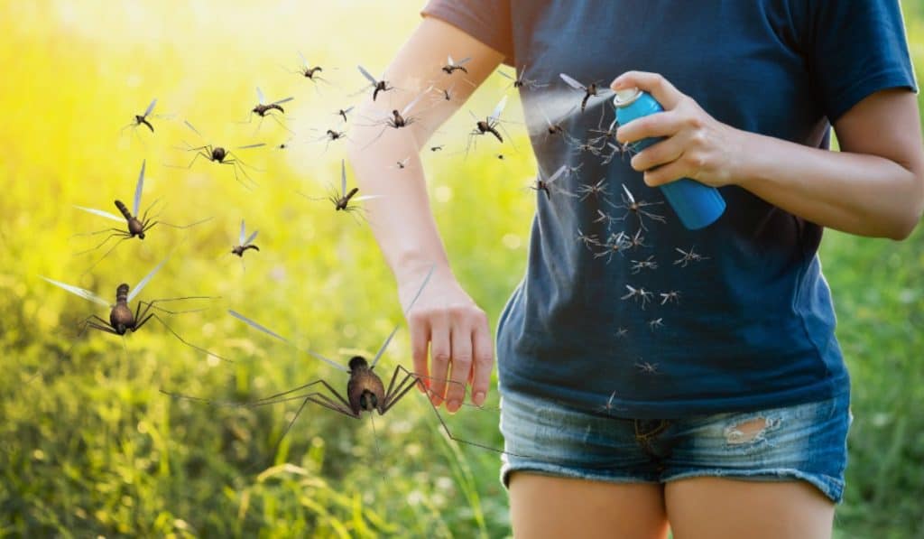 Muggen verjagen in de slaapkamer: complete gids