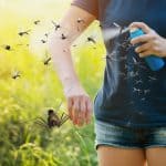 Muggen verjagen in de slaapkamer: complete gids