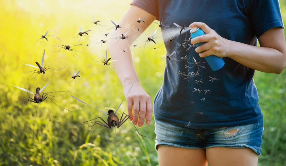 Muggen verjagen in de slaapkamer: complete gids