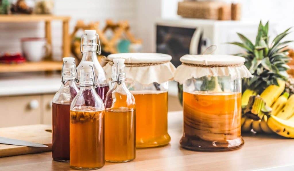 Kombucha: Voordelen, Gezondheid en Probiotica voor je Darmflora