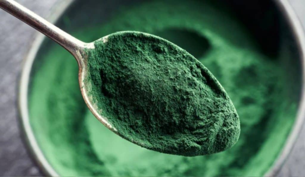 Spirulina