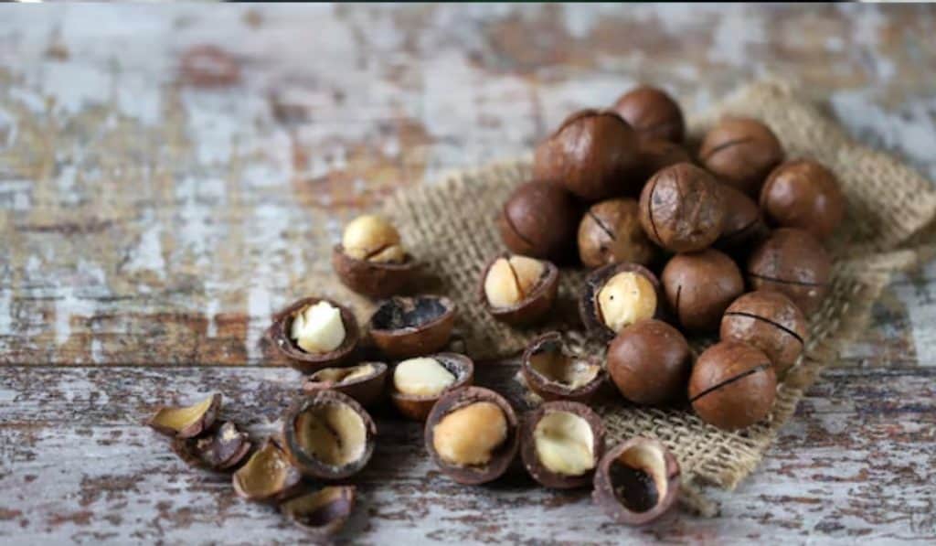 Macadamia Noten – Voedingswaarde, Gezondheid en Gebruik