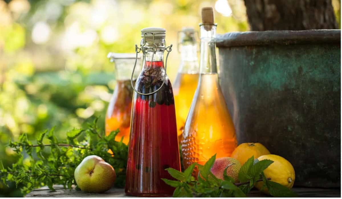 Kombucha maken voor beginners: alles wat je moet weten