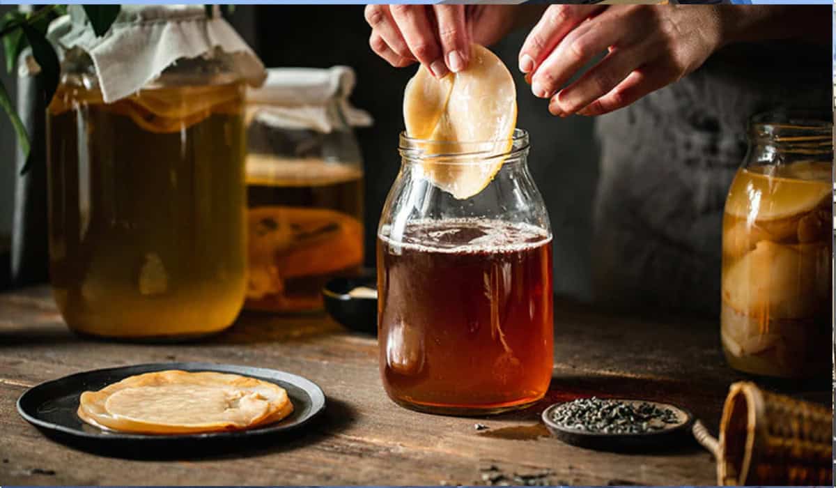 Kombucha maken: voordelen, gezondheid en een complete gids