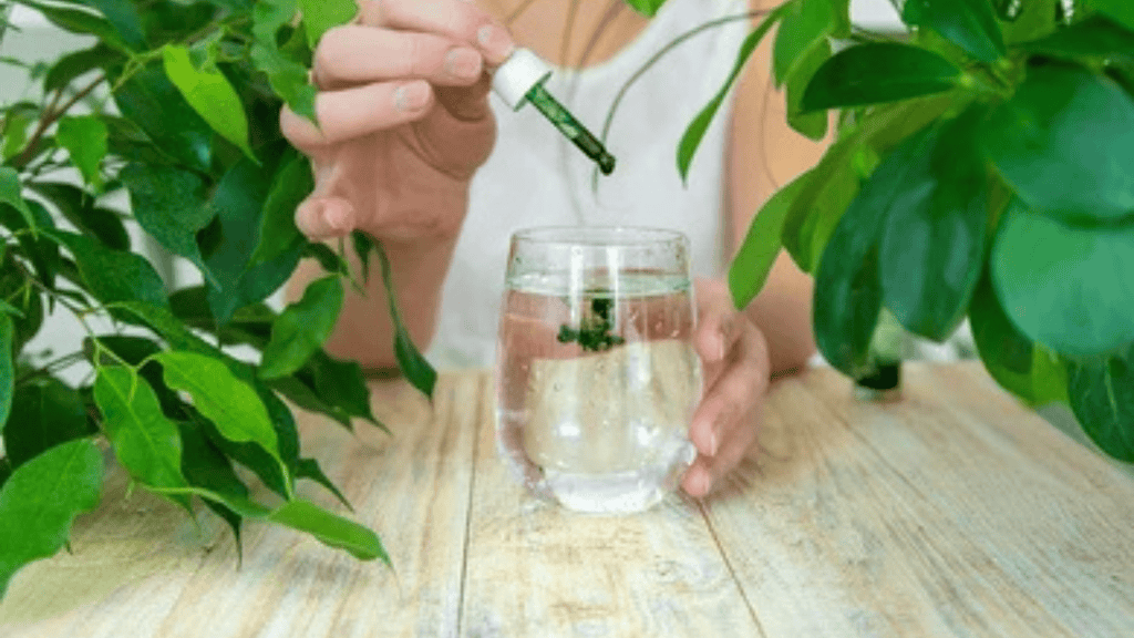 Chlorofyl Supplement