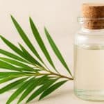 Tea tree olie: werking, toepassingen en veilig gebruik uitgelegd