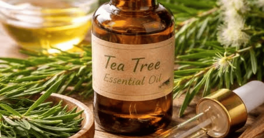 Tea tree olie