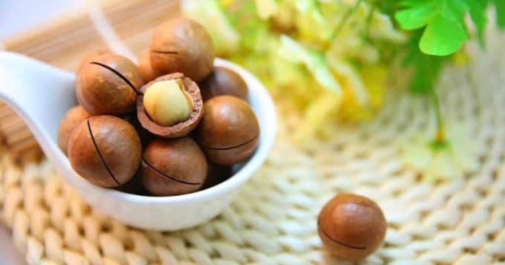 Macadamia noten gezondheid: voedingswaarde, calorieën en voordelen