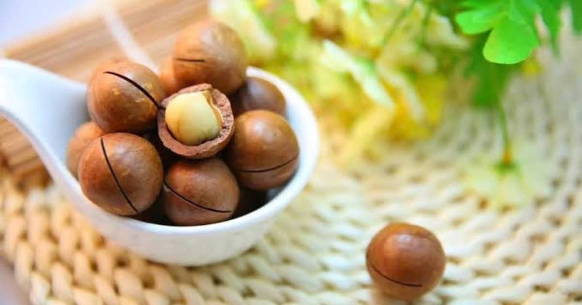 Macadamia noten gezondheid: voedingswaarde, calorieën en voordelen