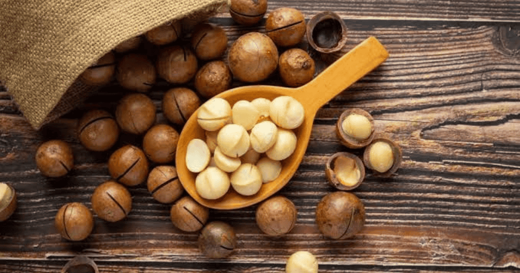Macadamia noten gezondheid
