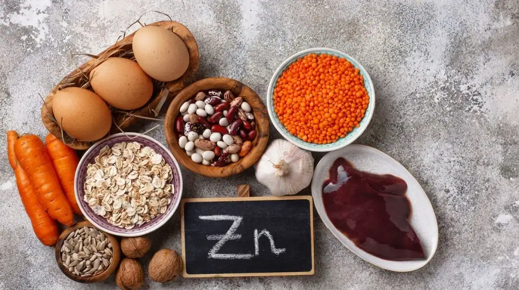 Zink en Gezondheid: Functie, Zinkrijke Voeding en de Opname van Zink