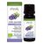 Physalis Echte Lavendel Olie Bio – 10ml