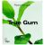 True Gum Fresh Mint Kauwgom – 21g