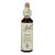 Bach Bloesem Remedie Beech (20ml)