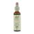 Bach Bloesem Remedie Centaury (20ml)