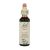 Bach Bloesem Remedie Holly (20ml)