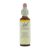 Bach Bloesem Remedie Hornbeam (20ml)