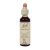 Bach Bloesem Remedie Impatiens (20ml)