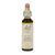 Bach Bloesem Remedie Olive (20ml)