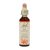 Bach Bloesem Remedie Red Chestnut (20ml)