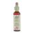 Bach Bloesem Remedie Sweet Chestnut (20ml)