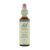 Bach Bloesem Remedie Vervain (20ml)